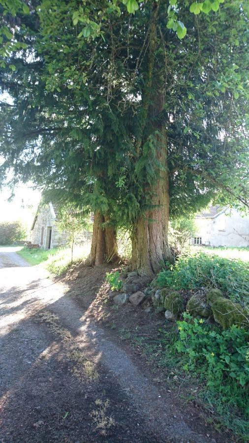 Villa Ferme De La Grange Du Bas Saint-Bresson Esterno foto